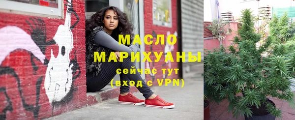 гашик Арсеньев