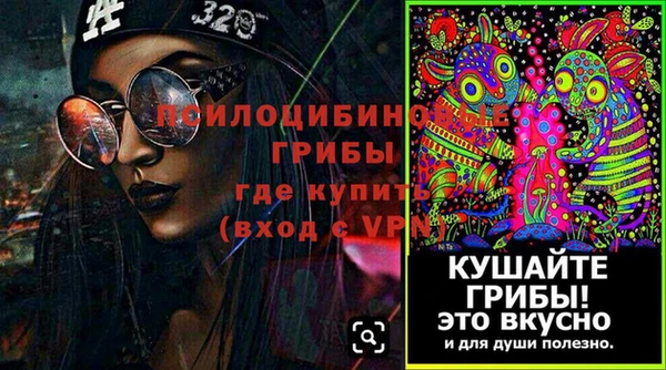 гашик Арсеньев
