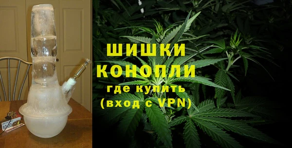 гашик Арсеньев