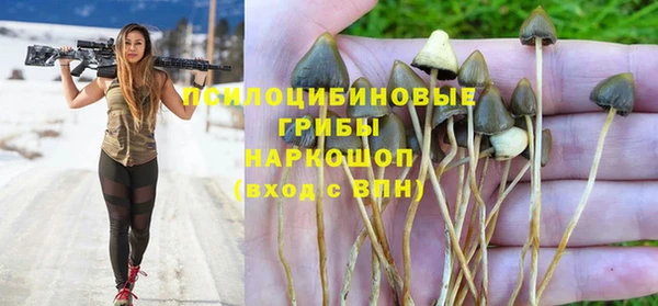 гашик Арсеньев