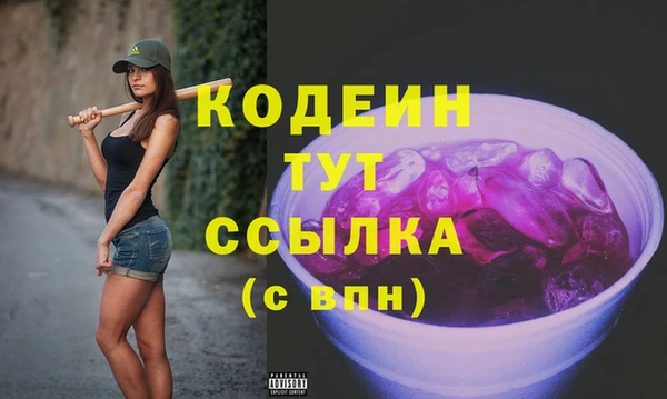 гашик Арсеньев